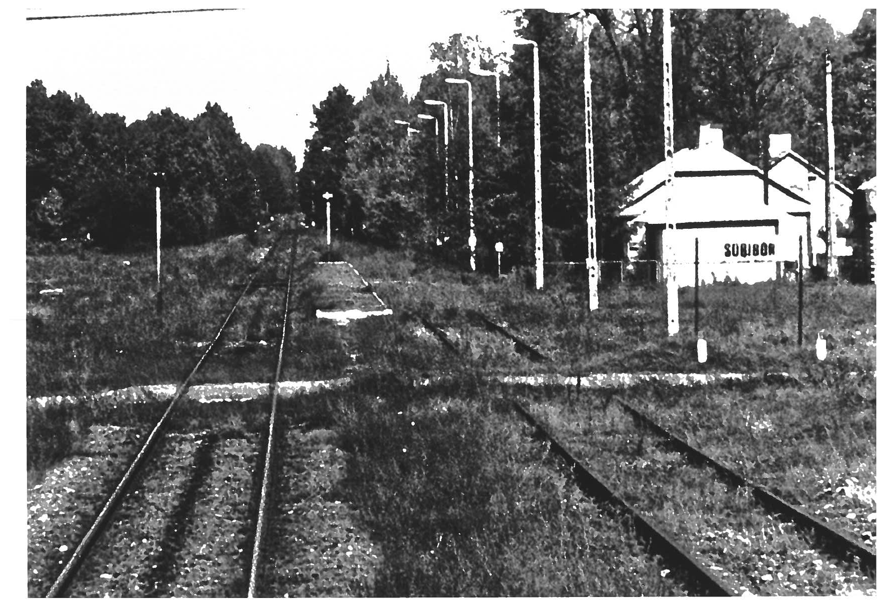 Sobibor railway tracks