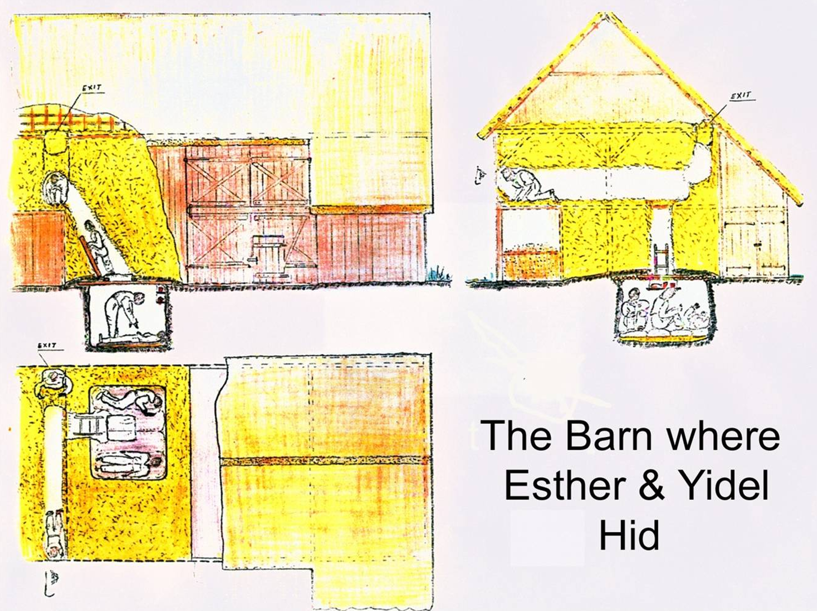 Sketch of barn & tunnel system color